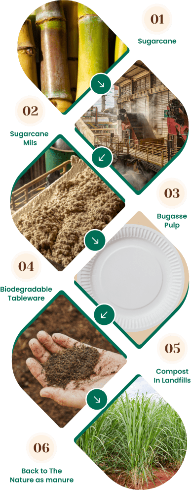 About GreenX Tableware