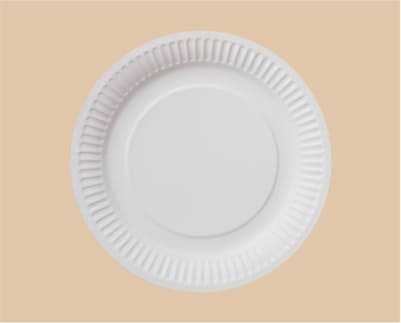 Biodegradable Tableware