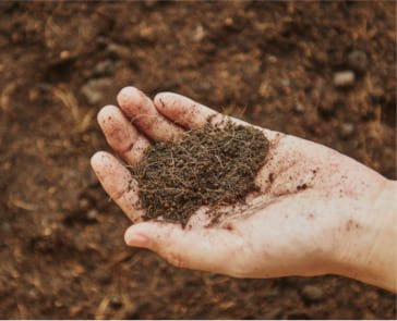 Compost In Landfills