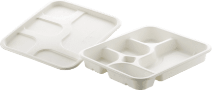 Meal Tray With Lid